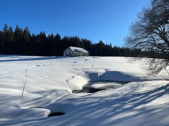 Tour Schneeschuhwandern Bellefontaine - Bellefontaine roche Champion - Photo