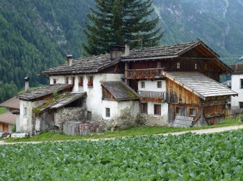 Tour Zu Fuß Martell - Südtiroler Erdbeer-Weg - Photo