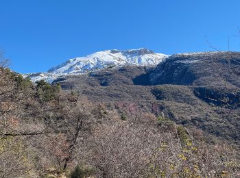 Randonnée Raquettes à neige La Croix-sur-Roudoule - Haute Mihubi  - Photo