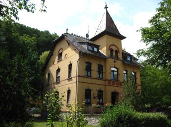 Trail On foot Bretzenheim - Vitaltour Eremitenpfad - Photo