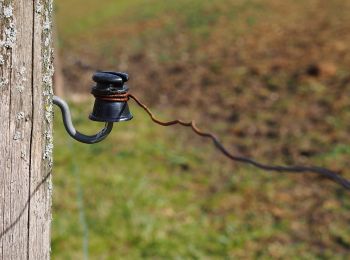 Tocht Te voet Waldstetten - Glaubensweg 6 - Weilerstoffel - Photo