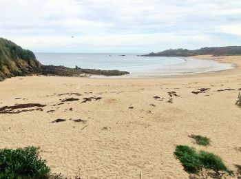 Randonnée Marche Cancale - Boucle Anse du Guesclin - Photo