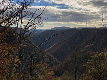 Percorso Marcia Prévenchères - Cévennes  - Photo