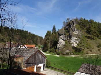 Trail On foot Breitenbrunn - Auf den Spuren der Vorgeschichte - Photo