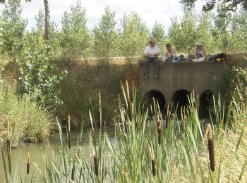 Tocht Stappen Calzada del Coto - CC_Frances_CF_18_Calzada-Coto_Santas-Martas_20110710 - Photo