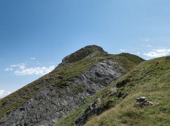 Percorso A piedi Ventasso - Cervarezza - Lago Calamone - Passo di Pratizzano - Passo della Scalucchia - Buca del Moro - Monte Casarola - Alpe di Succiso - Photo