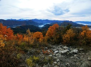 Trail Walking Melve - 20191126_Melve Tête de Boursier - Photo