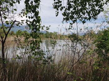 Excursión Marcha nórdica Vif - Les Etangs de la Plaine de Reymure - Photo