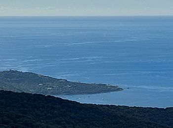 Randonnée Marche Coti-Chiavari - rando des crêtes Coti Chjavari - Photo