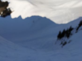 Tocht Ski randonnée Glières-Val-de-Borne - Tour du Jallouvre par le lac de Lessy  - Photo