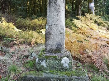 Randonnée Marche Remiremont - Remiremont - baraque des gardes - étang du Villerain - cascade du Géhart - étangs et prieuré d'Hérival  - Photo