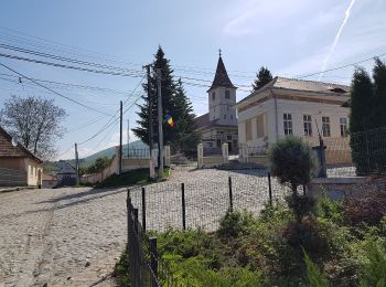 Randonnée A pied Inconnu - Turnu Roșu - Dl. Frasinul - Culmea Pietriceaua (traseul CR) - Photo