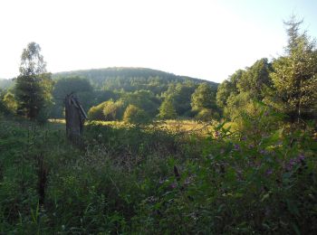 Randonnée A pied Meisenthal - Disque jaune - Photo