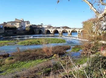 Trail Walking Sommières - tour de sommiers - Photo