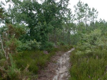 Excursión Bici de montaña Rion-des-Landes - 8977182-Vtt R&B Goua du port Garricq Carcen Garricq Retour - Photo