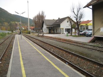 Tour Zu Fuß Gemeinde Winzendorf-Muthmannsdorf - Durch die Weinberge nach Muthmannsdorf - Photo