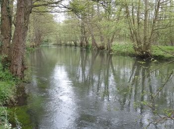 Tour Wandern Bouvaincourt-sur-Bresle - Bouvaincour le Font de Lille  - Photo