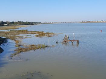 Percorso Mountainbike La Faute-sur-Mer - La Faute ter - Photo