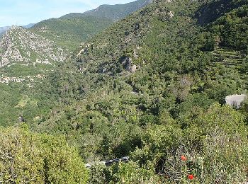 Randonnée A pied Sospel - Tour du mont Grazian - Photo