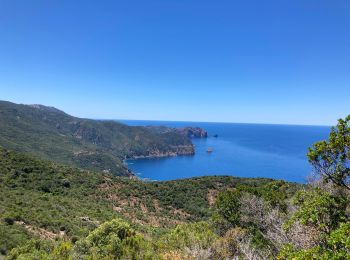 Excursión Senderismo Osani - Girolata Galéria 2022 - Photo