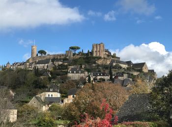 Tour Wandern Turenne - Boucle de Turenne - Photo