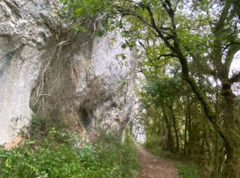 Percorso sport Cœur de Causse - Sob la bastide murat vers - Photo