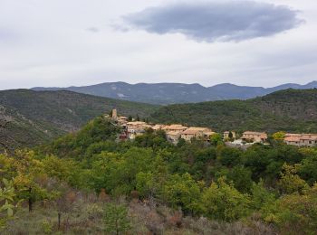 Tour Wandern Montaulieu - Montauban Drôme  - Photo