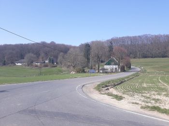 Tour Zu Fuß Kürten - Biesfeld Rundweg A2 - Photo