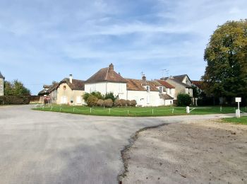 Percorso Marcia Bruyères-le-Châtel - Boucle Fontenay les Briis - Photo