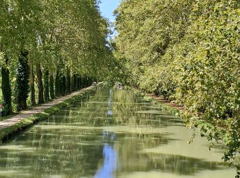 Randonnée Marche Moissac - moissac auvillar - Photo