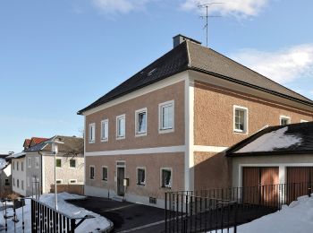 Tour Zu Fuß Bad Leonfelden - Bad Leonfelden Traberg - Photo