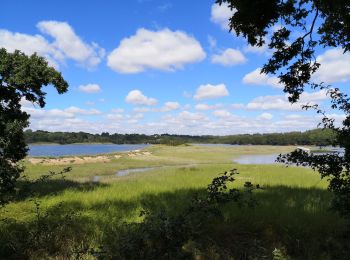 Trail Walking Logonna-Daoulas - Circuit de l'anse de Pen Foul. Logona. 06/07/20 - Photo