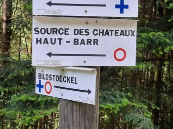 Randonnée Marche Saverne - ARCA HT BARR - Photo