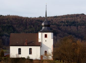 Tour Zu Fuß Heddesbach - Rundwanderweg Heddesbach 5 : Harfenburg-Weg - Photo