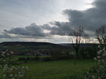 Randonnée Marche Arques-la-Bataille - forêt d'arques Florence st au in le cauf - Photo