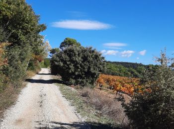 Tour Wandern Lioux - beauté gorges de vaumale lioux - Photo