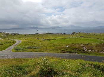 Trail Car Inishowen Municipal District - 190630 - Photo