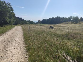 Randonnée Marche Plan-de-Baix - ferme de sauzy canyon des guelards retour par le velan - Photo