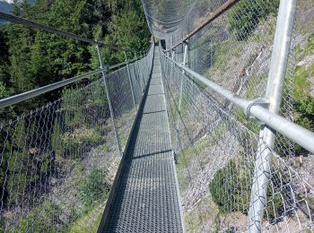 Randonnée Marche Savièse - bises de torrent neuf - Photo