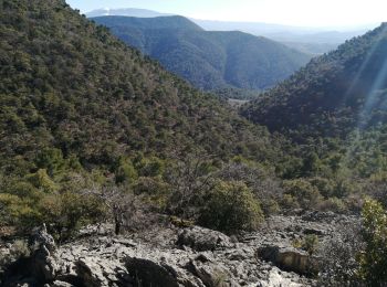 Tour Wandern Nyons - essaillon garde grosse  - Photo