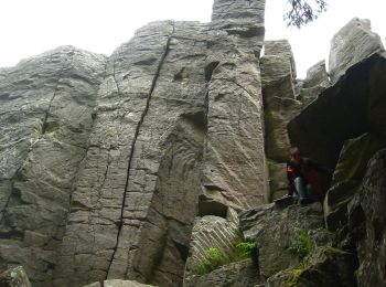 Tour Zu Fuß Poppenhausen - Maulkuppe - Rhönrundweg 14 - Photo