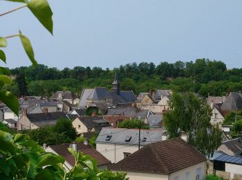 Randonnée Marche Vernou-sur-Brenne - Vernou-sur-Brenne - Variante Sentier Vignes et Patrimoine - 10.9km 140m 2h30 (25mn) - 2023 06 28 - Photo