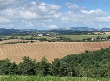 Tour Wandern Saint-Beauzély - Azinieres - Photo