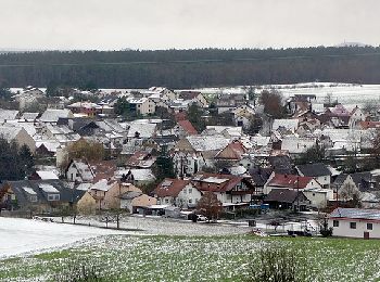 Excursión A pie Strullendorf - Zeegenbachtal Runde - Photo