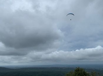 Excursión Senderismo Seynes - Le tour du Mont Bouquet - Photo