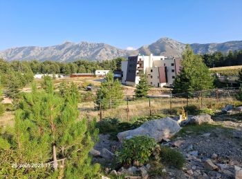 Tour Wandern Albertacce - refuge de ballon. à castel de Vergui - Photo