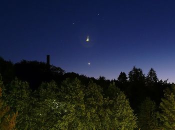 Randonnée A pied Wurzbach - Roter Strich - Bad Lobenstein-Bhf Lichtentanne - Photo