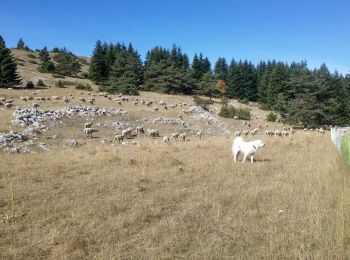 Randonnée Marche La Beaume - banne col de cabre - Photo