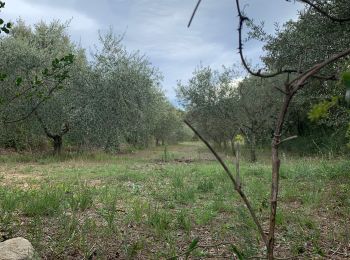 Randonnée Marche Saint-Bonnet-du-Gard - Pont du Gard - Photo