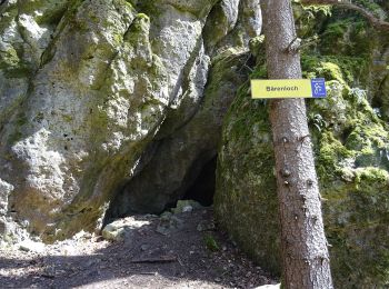 Randonnée A pied Kallmünz - Jurasteig Bärenloch-Schlaufe - Photo